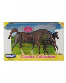 Chestnut Arabian Horse and Foal (62046)