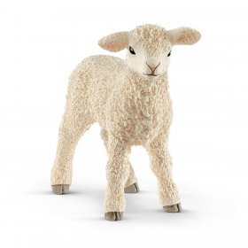Lamb (sch-13883)