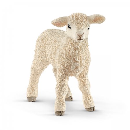 Lamb (sch-13883)