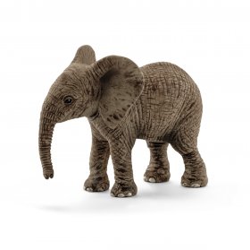 African Elephant Calf (sch-14763)