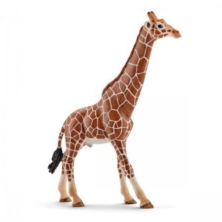 Giraffe Male (sch-14749)