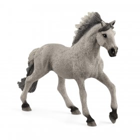 Sorraia Mustang Stallion (sch-13915)