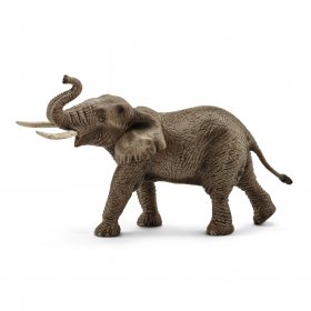 African Elephant Male (sch-14762)