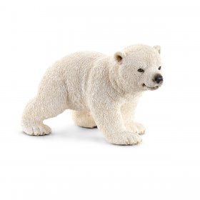 Polar Bear Cub Walking (sch-14708)