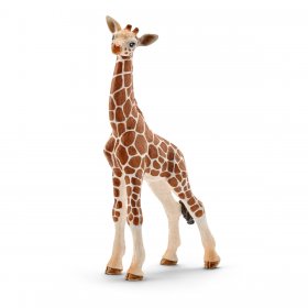 Giraffe Calf (sch-14751)