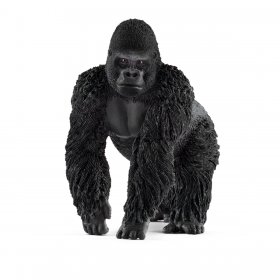 Gorilla Male (sch-14770)