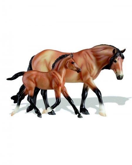Mealy Bay Dartmoor Pony and Light Bay Dartmoor Foal (62043)