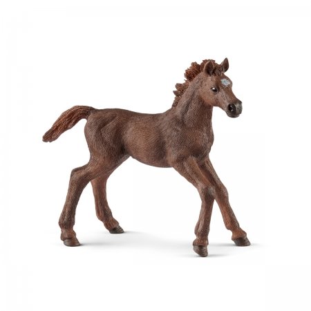 English Thoroughbred Foal (sch-13857)