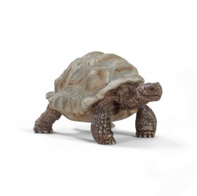 Giant Tortoise (sch-14824)