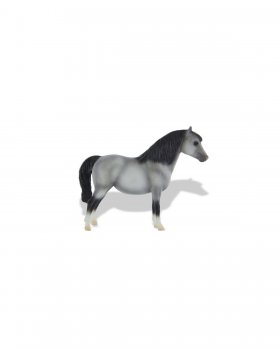 Shetland Pony (1486)