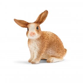 Rabbit (sch-13827)