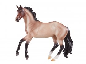 Bay Roan Australian Stock Horse (950)