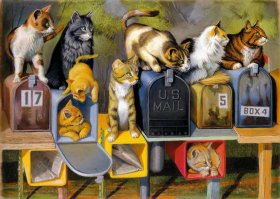 Cats Got Mail (13562)