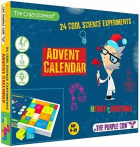 The Crazy Scientist - Science Advent Calendar (TPC-286)