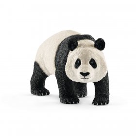 Panda Male (sch-14772)