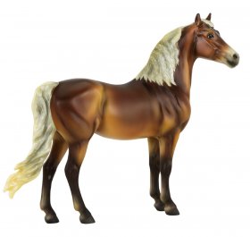 2020 Horse of the Year - Fairfax, Morgan (62120)